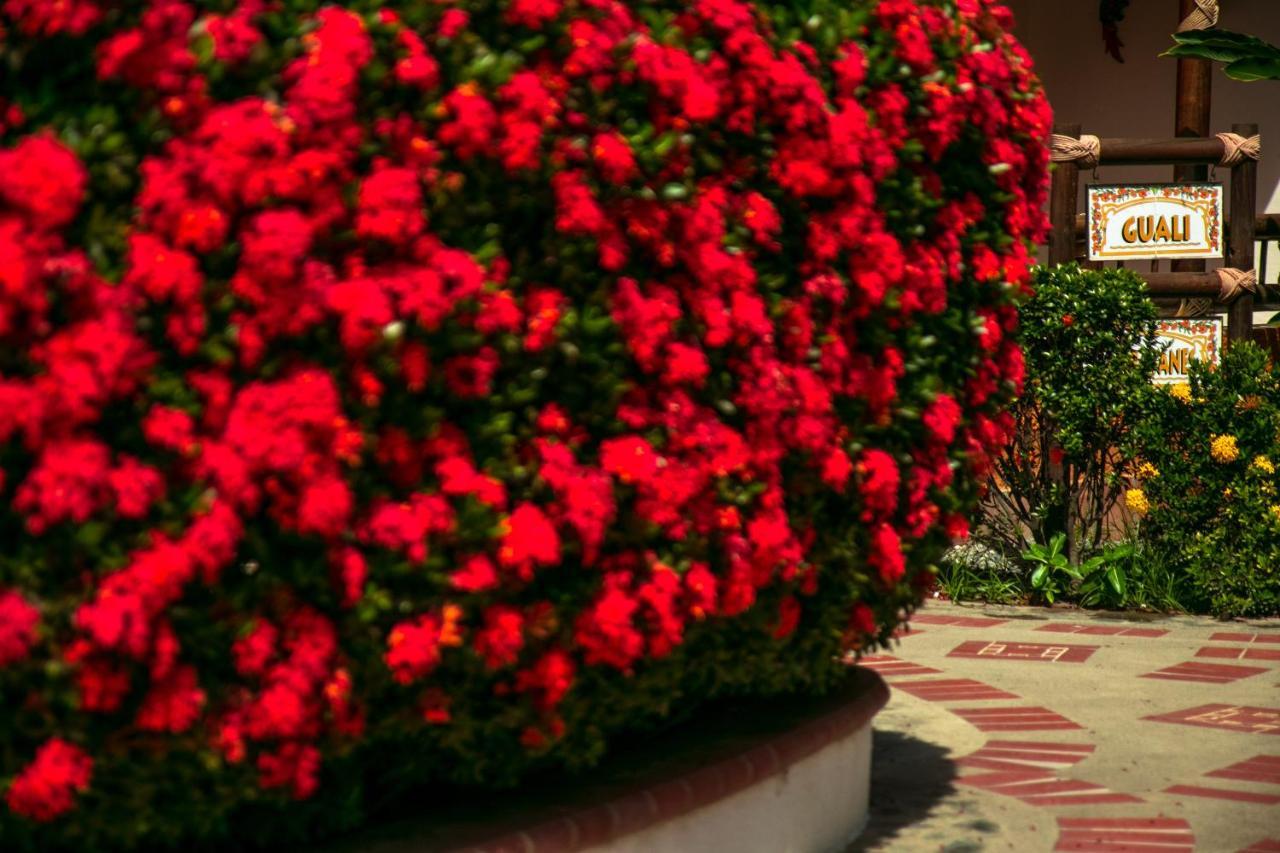 Hosteria Tonusco Campestre Santa Fe de Antioquia Eksteriør billede
